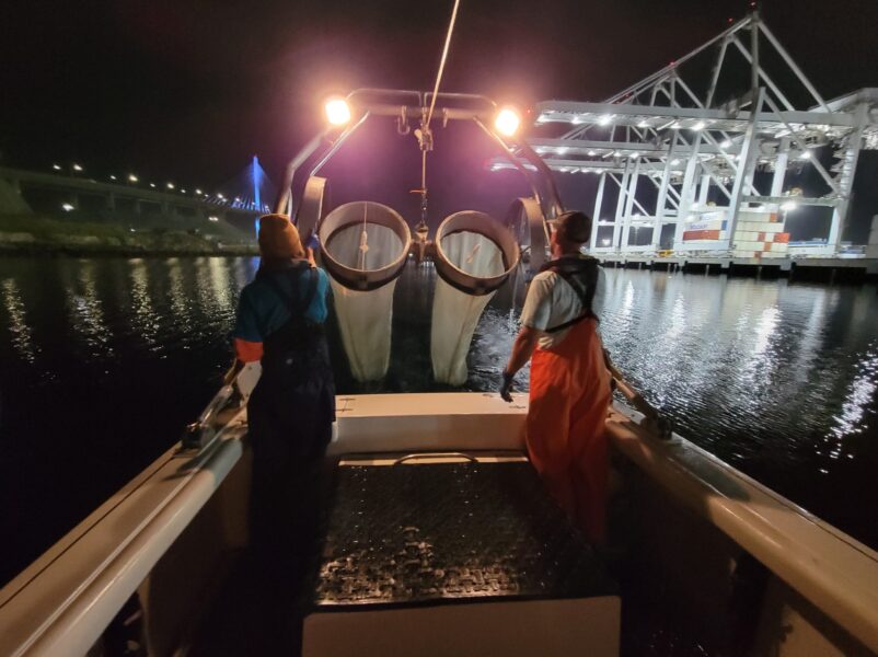 Deploying plankton bongo nets
