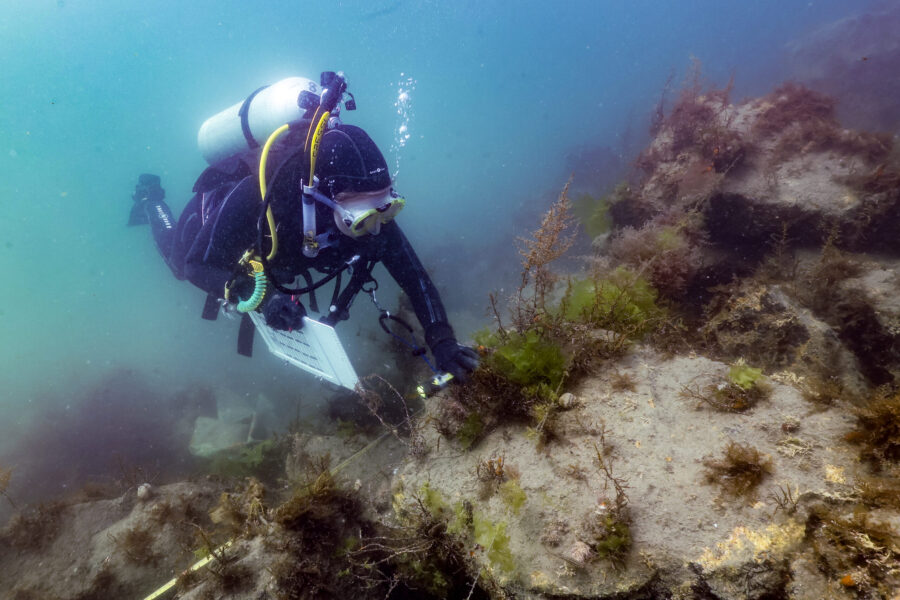 Inner harbor riprap survey