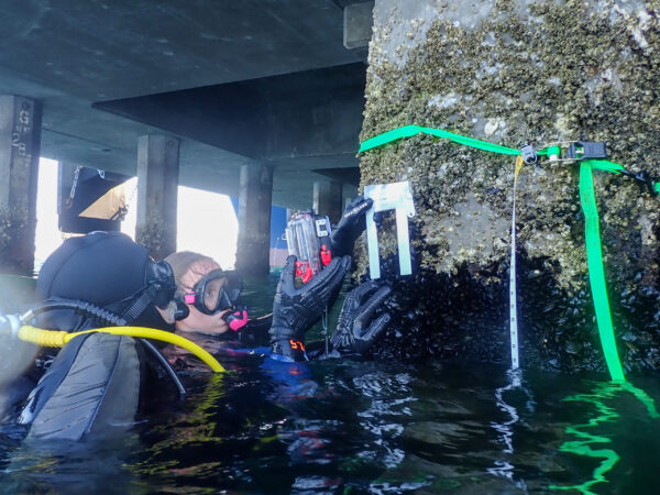 Intertidal Zone Survey