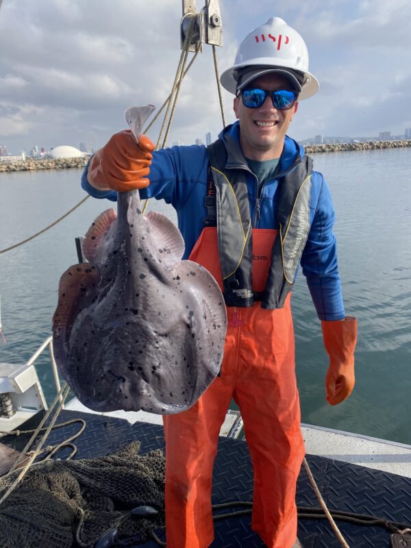 Torpedo Ray