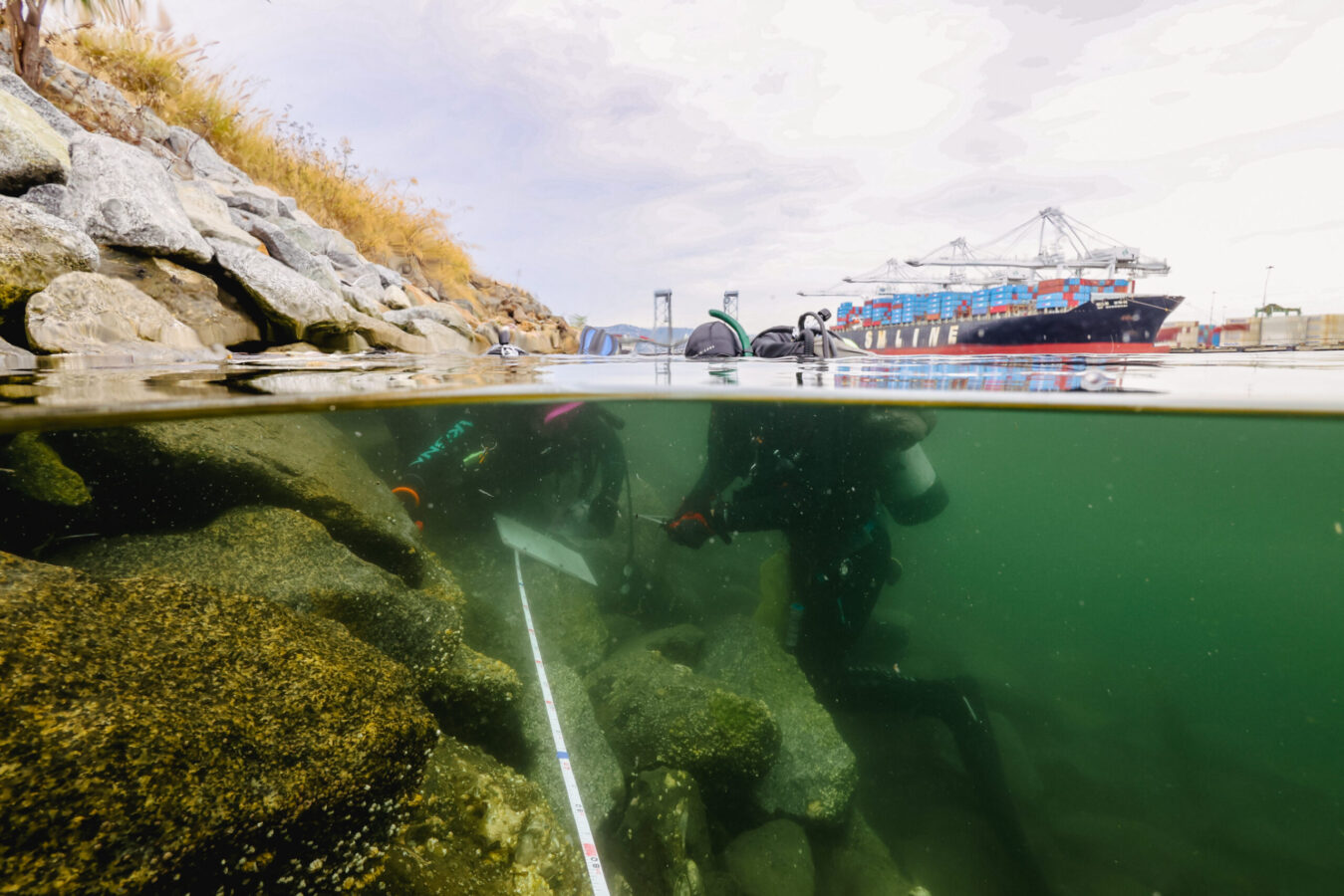 Riprap intertidal sampling